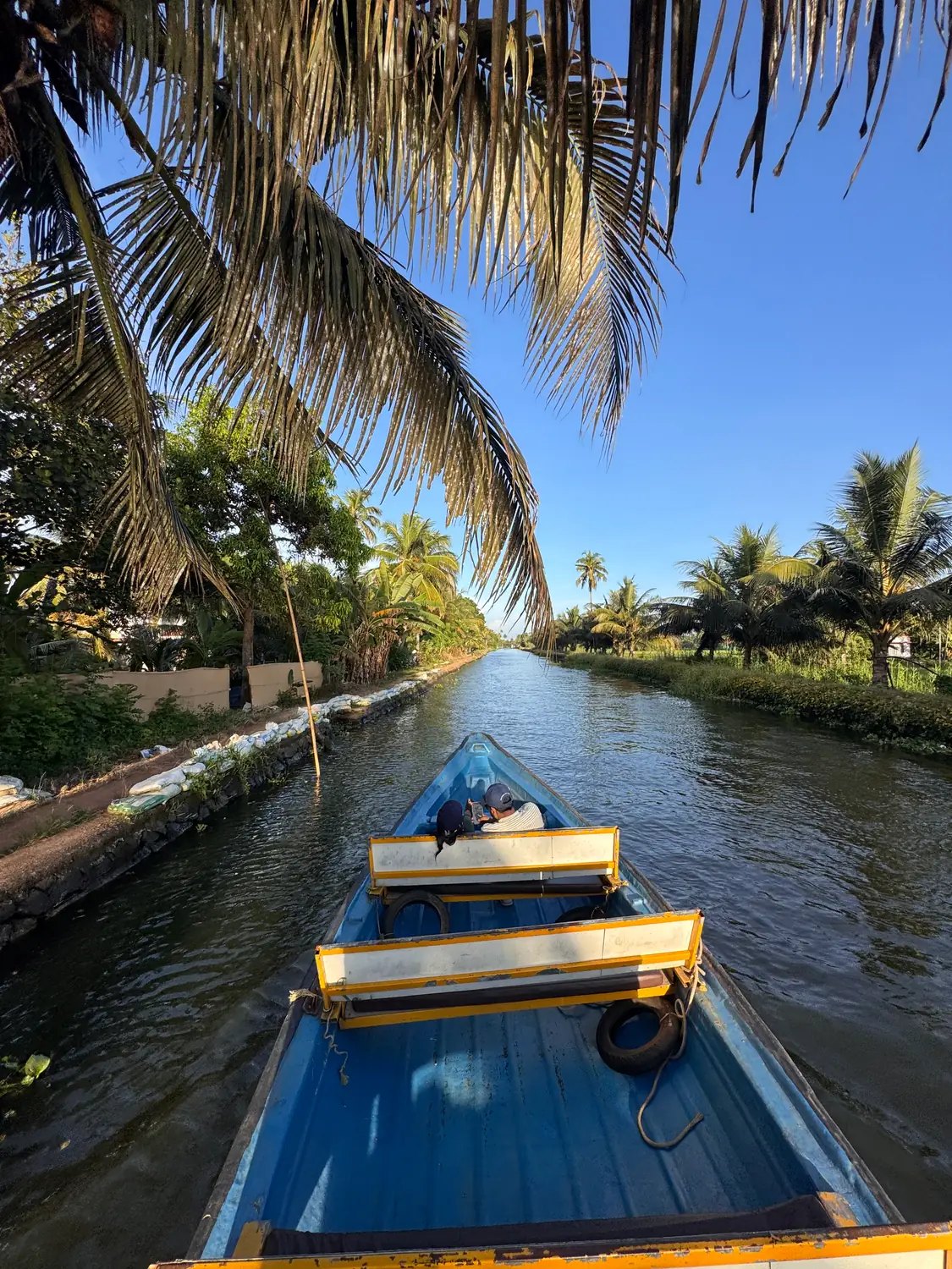 Looking down a narrow Alleppey canal from a boat, framed by coconut palms under a blue sky